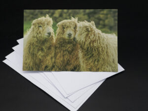 'In Thunder, Lightening, or Rain...' - Greetings Card