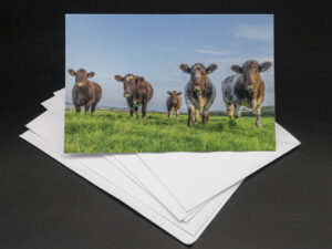 'All Ears' - Greetings Card