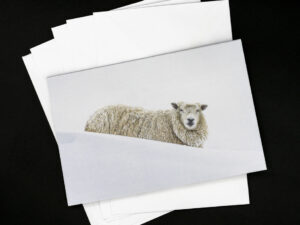 'Mr Trimble Goes Skiing' - Greetings Card