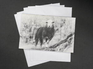 'Herdwick' - Greetings Card