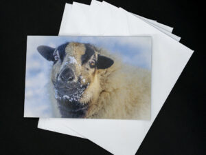 'Powdering My Nose' - Greetings Card