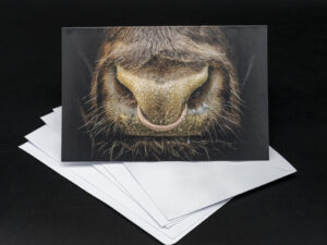 'Justice' - Greetings Card